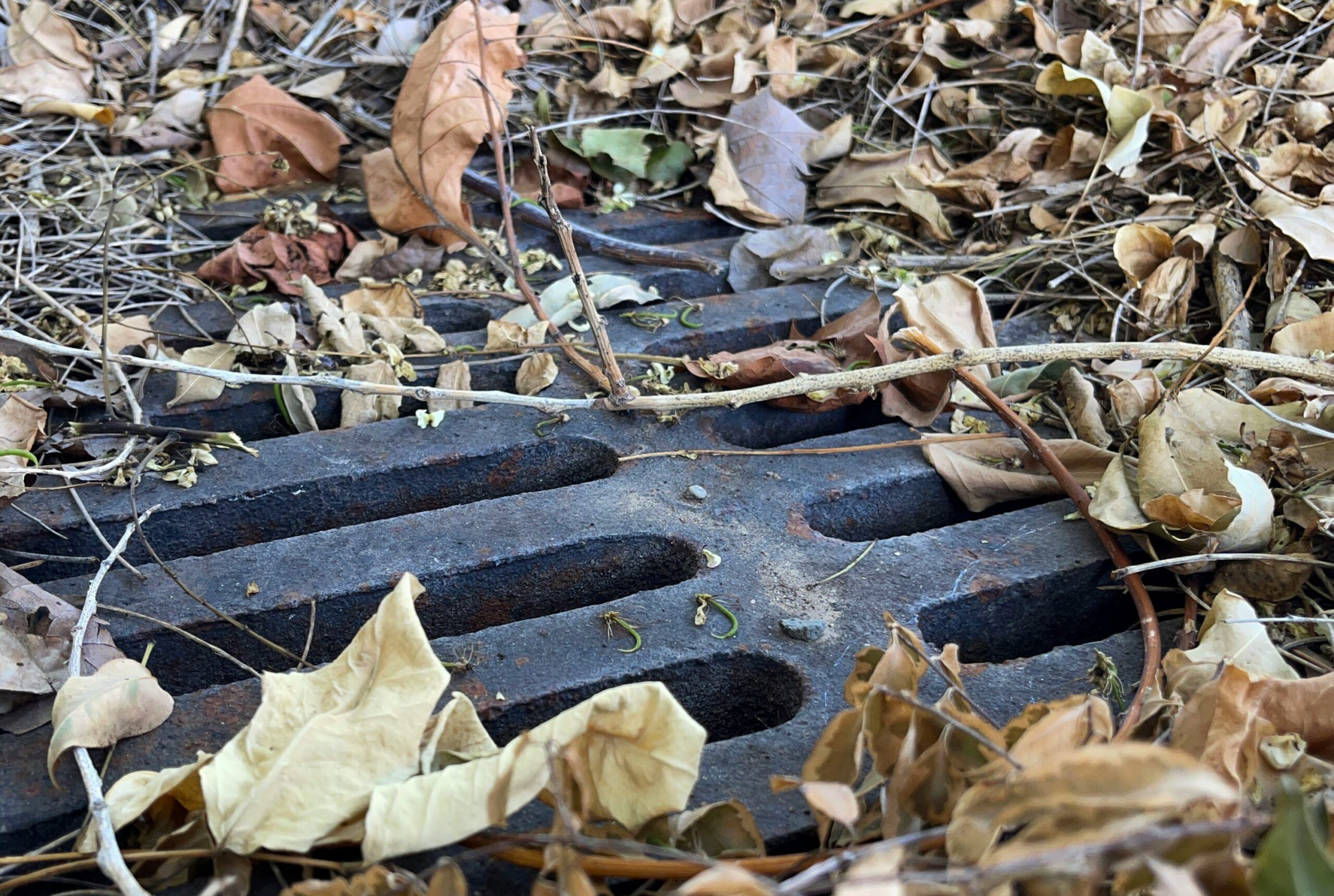 drainage solutions upstate sc