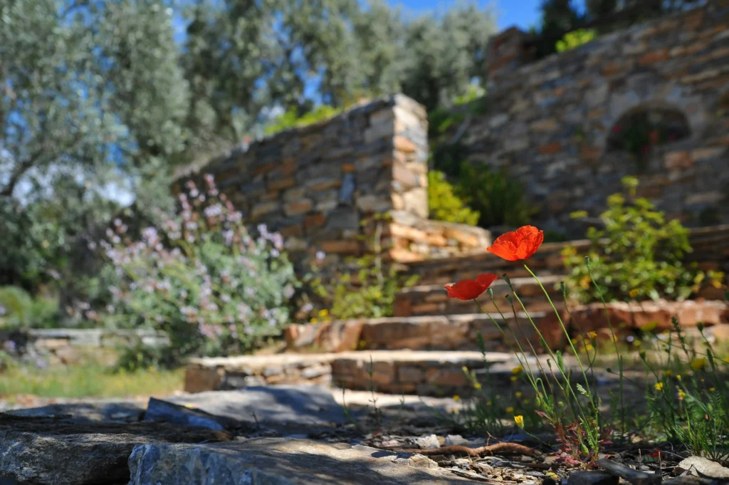 slope-aware landscape design Greer SC — steps and planting