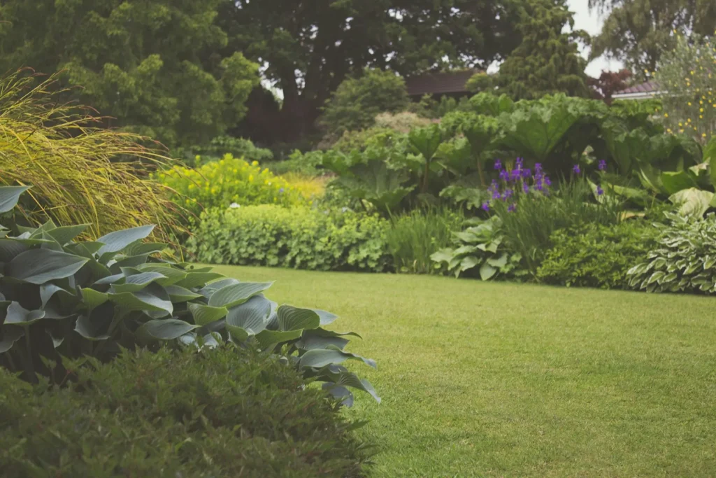 front yard landscape design Simpsonville SC — 2D concept to install