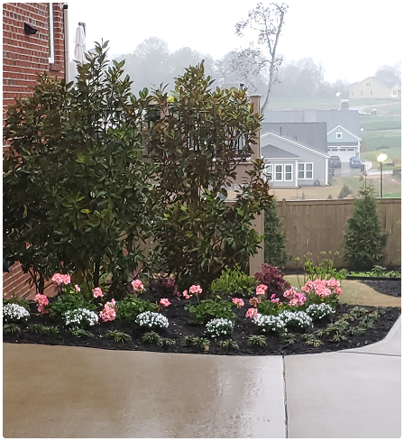 solomons shrub trimming roebuck sc - Solomon's Landscape & Design