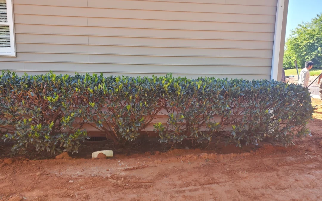 Landscaping Practices For Fall To Prep Your Yard for Winter