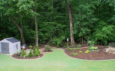 solomon landscpe design simpsonville landscaping - Solomon's Landscape & Design Smart Landscaping Design Choices That Stay Simple Year-round